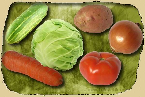 Овощи.Развитие речи - огурец, помидор, капуста, картофель, лук, морковь
