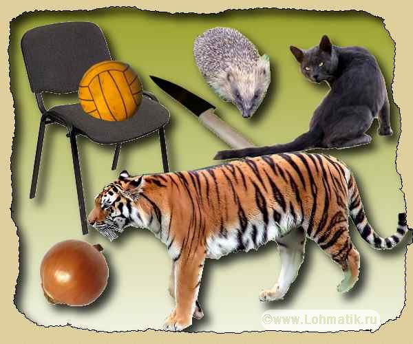 Короткие слова. Развитие речи - кот, мяч, стул, лук, еж, тигр