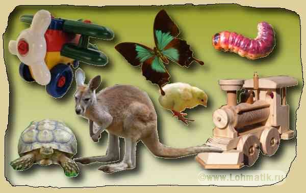 Длинные слова. Развитие речи - кенгуру, бабочка, паровоз, цыпленок, гусеница, черепаза