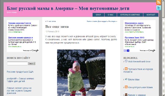 Обзор блогов. Блог русской мамы в Америке